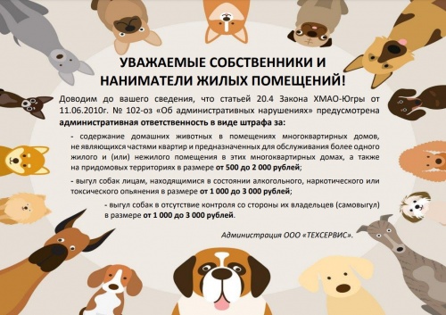 Инфа для чатов выгул питомцев