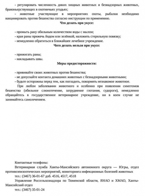 Кормление птиц и животных