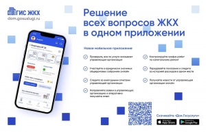 ГИС ЖКХ «Дом. Госуслуги»