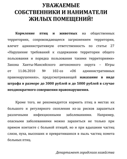 Кормление птиц и животных