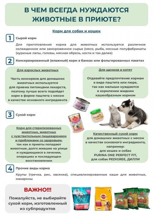 Памятки о помощи приютам 3