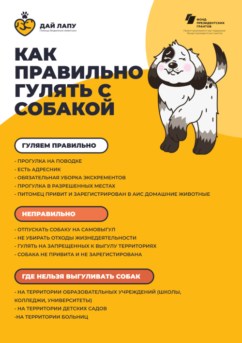 Как правильно гулять с собакой 2