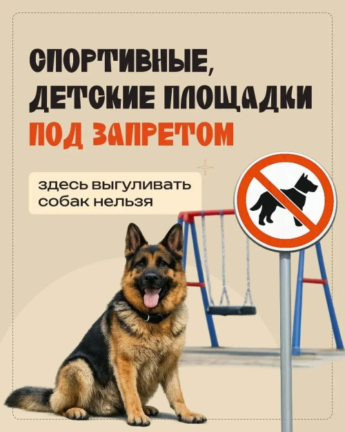 Собака, поводок1