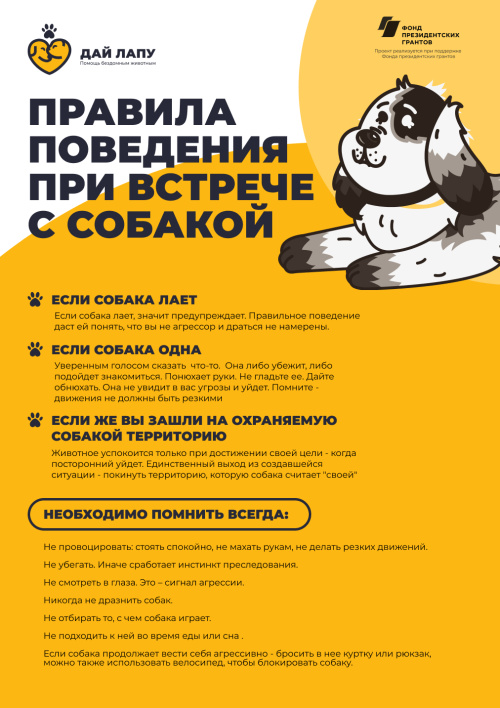 Как правильно гулять с собакой 1