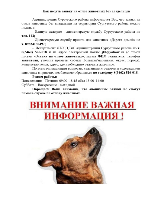 Заявка на отлов животных