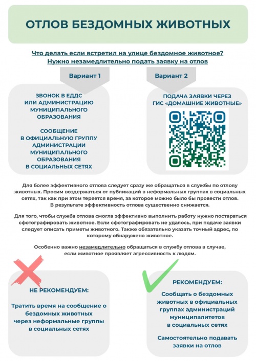 Памятки обязанности владельцев и отлов 3