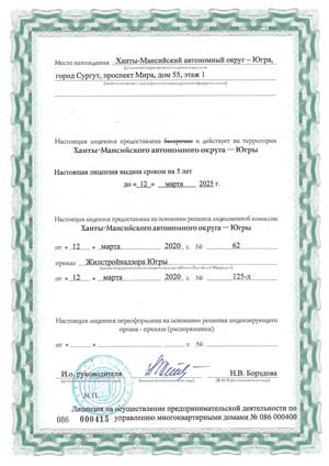 Лицензия